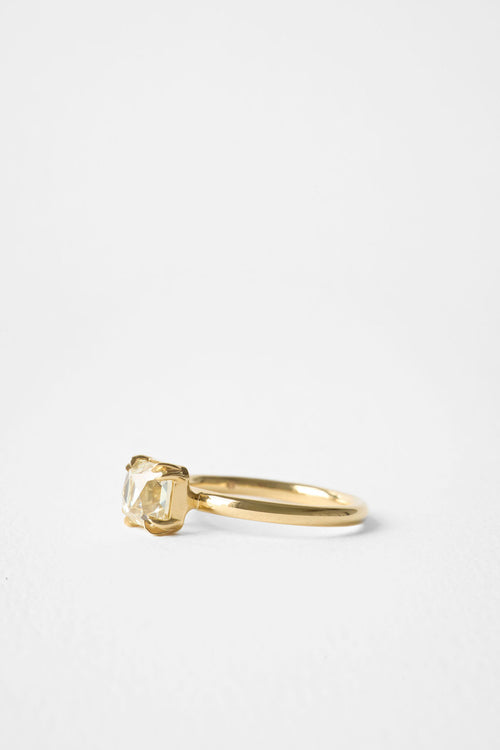 French Cut Alba || OAK