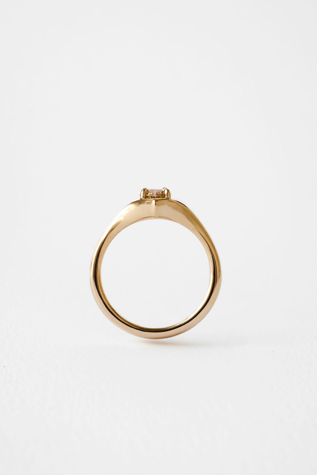 Eddy || Champagne Marquise