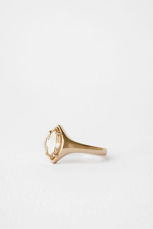 Eddy || Champagne Marquise