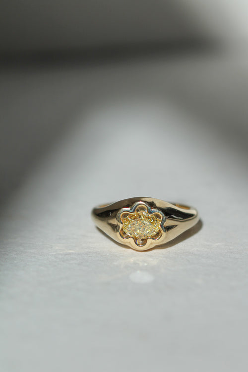 Petite Flora | East-West Oval