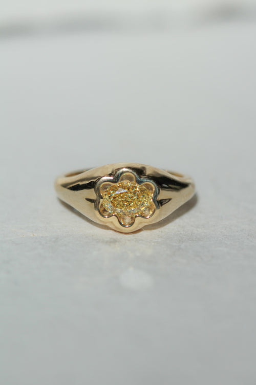 Petite Flora | East-West Oval (view 3)