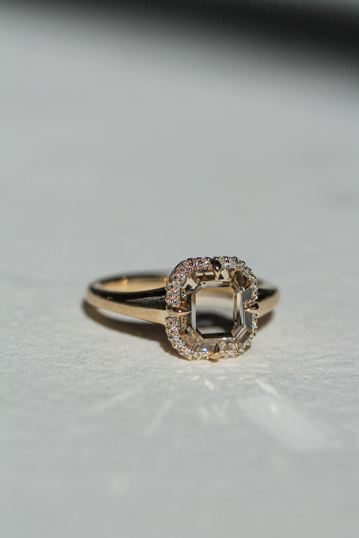 Champagne Portrait Domed Pavé Halo | OAK (view 2)