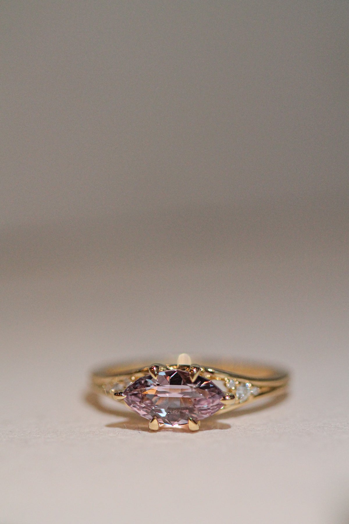 Pink Sapphire Dahlia | OAK (view 2)