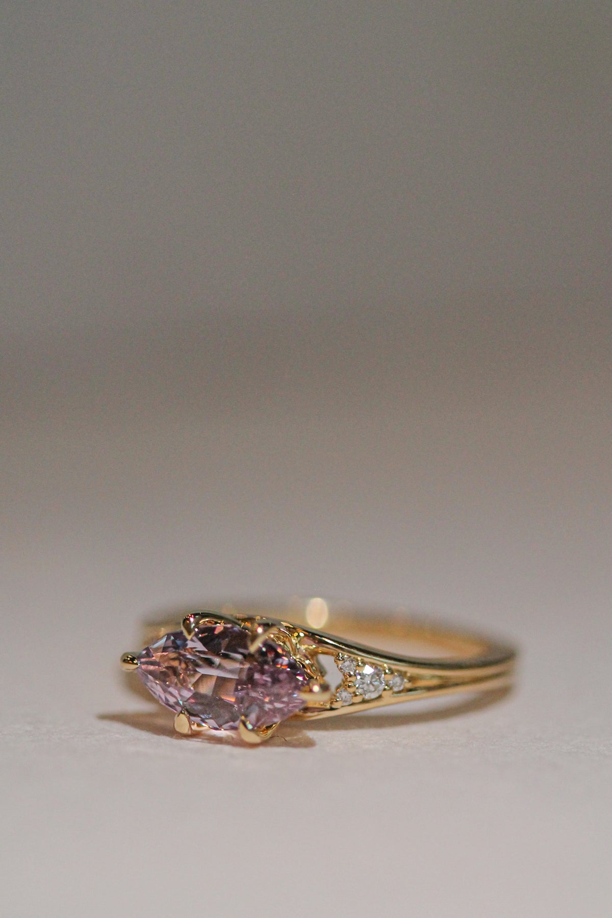 Pink Sapphire Dahlia | OAK (view 3)
