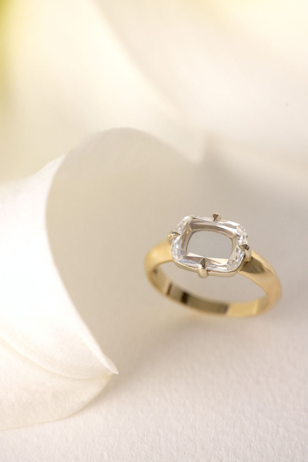 Perry || East-West Portrait Cushion