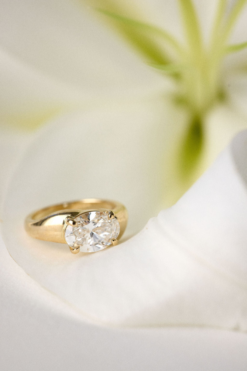 Locke | East-West Oval