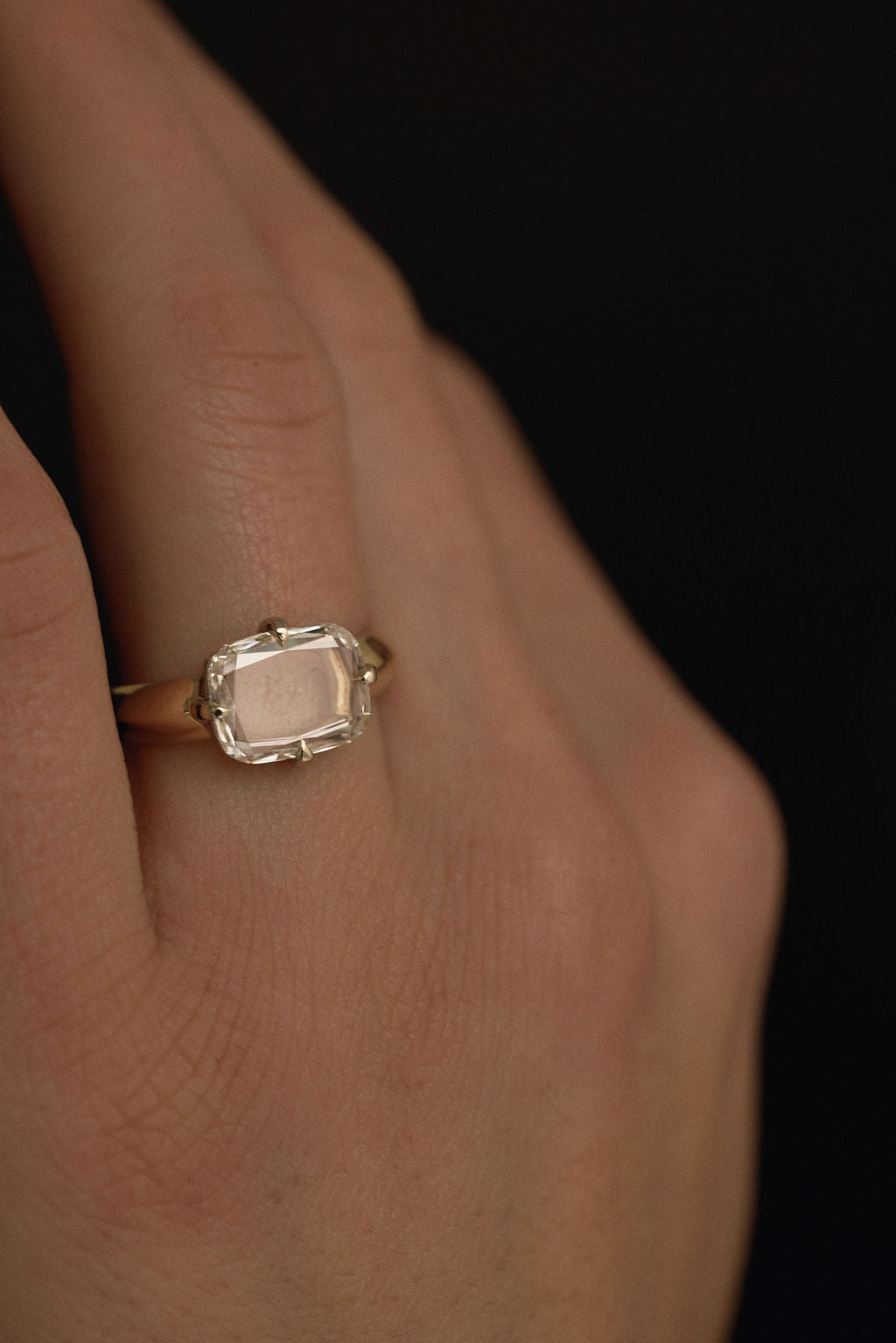 Perry || East-West Portrait Cushion