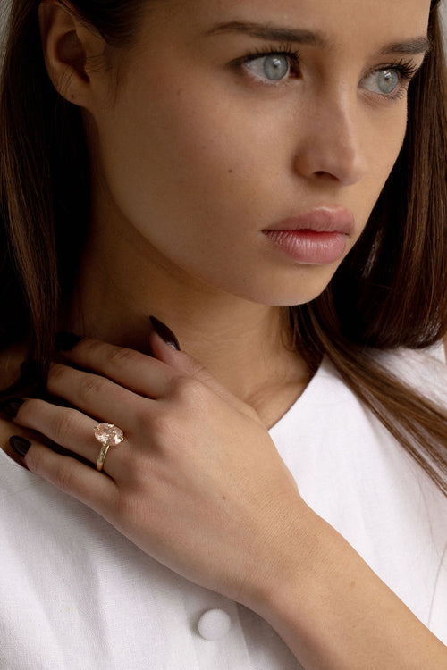 Rosé Compass || Elongated Cushion