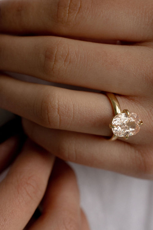 Rosé Compass || Elongated Cushion