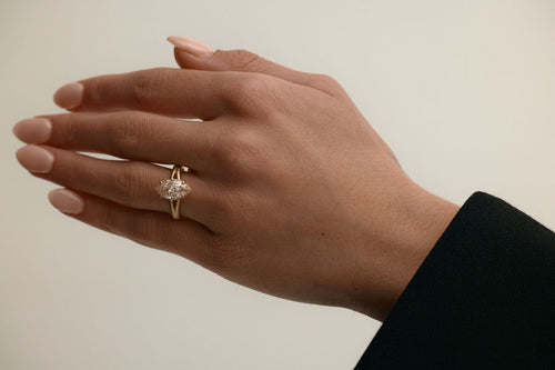 Mesa | Champagne | Portugese Marquise