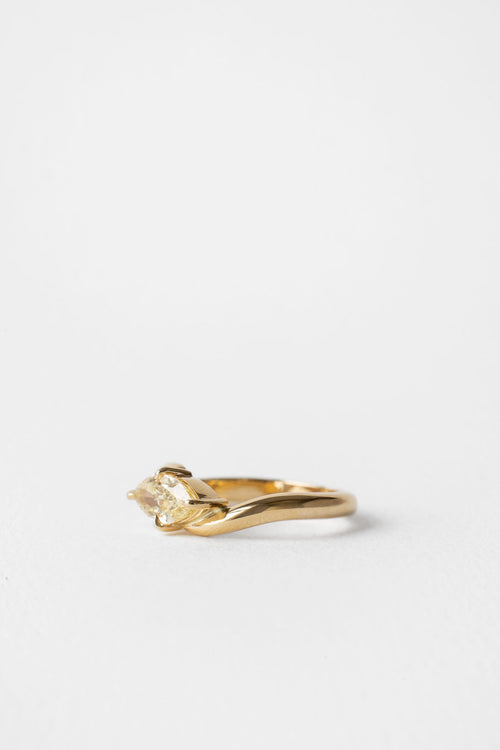 Carroll ||  Marquise