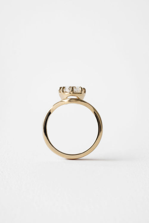 Estelle ||  Rose cut Cushion