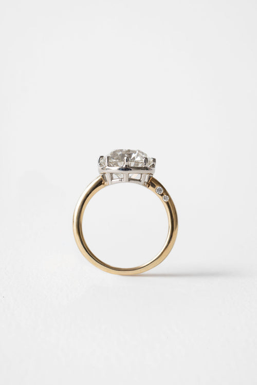 Mira || Euro Round Ready to Ship