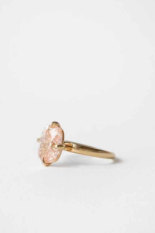 Rosé Compass || Elongated Cushion