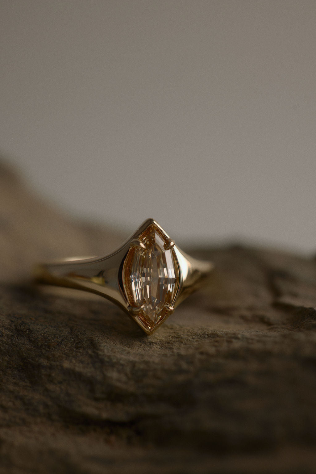 Eddy || Champagne Marquise