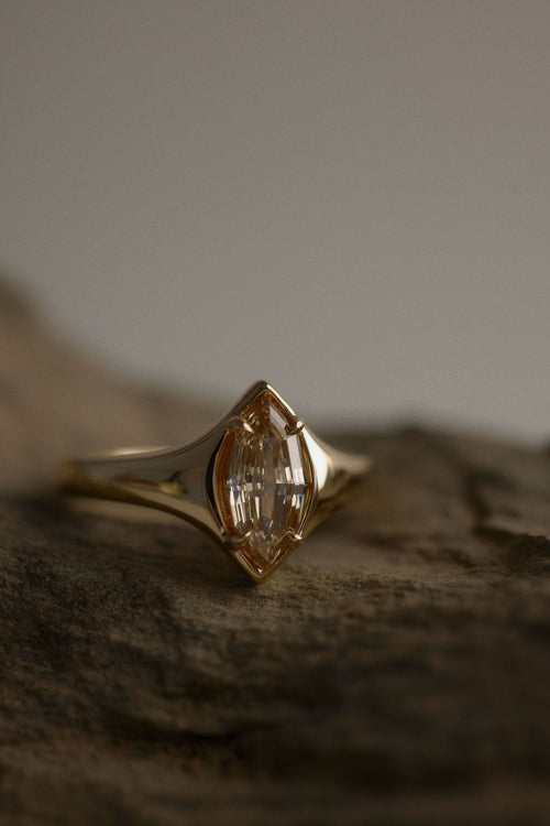 Eddy || Champagne Marquise