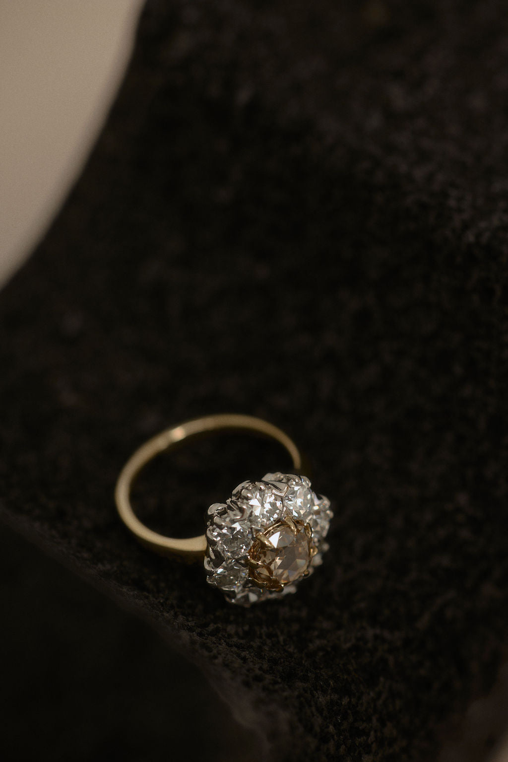 Champagne Floral Cluster || OAK