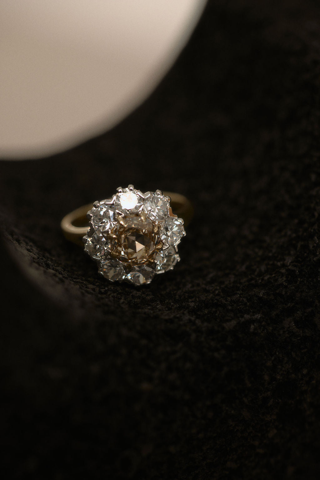 Champagne Floral Cluster || OAK