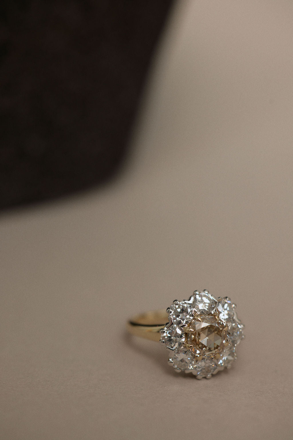 Champagne Floral Cluster || OAK