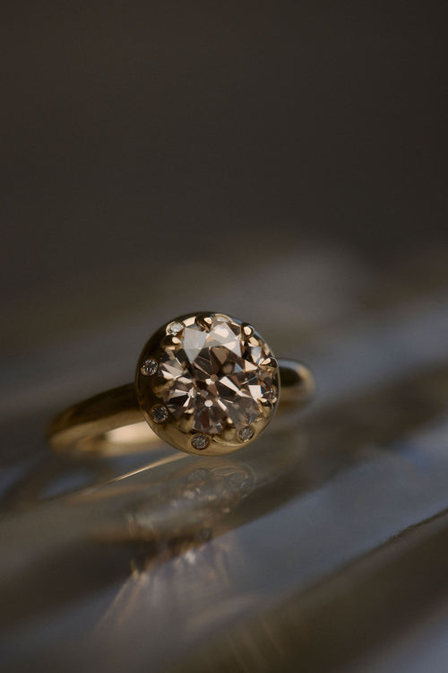 Champagne Arden || Euro Round