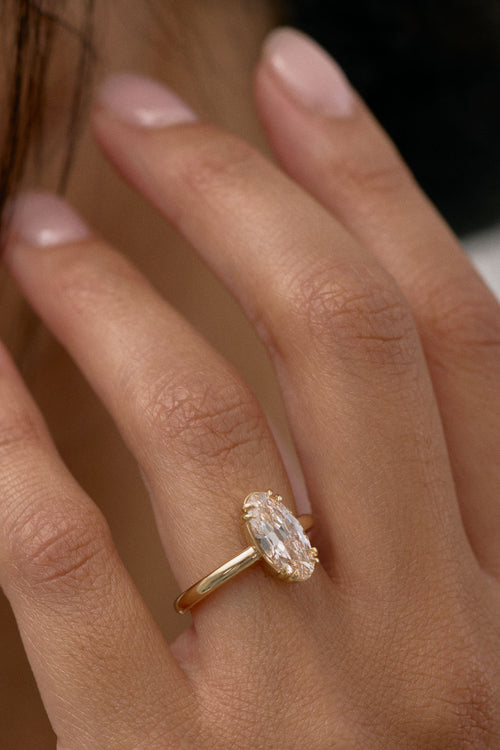 Alba | Moval Champagne