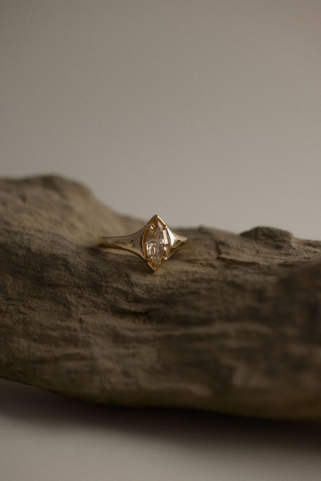 Eddy || Champagne Marquise