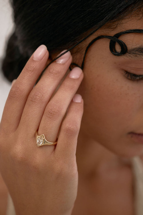 Eddy || Champagne Marquise