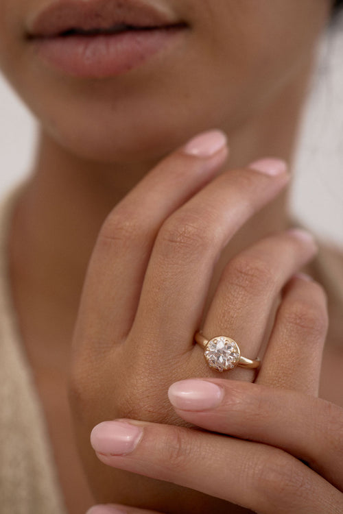 Champagne Arden || Euro Round