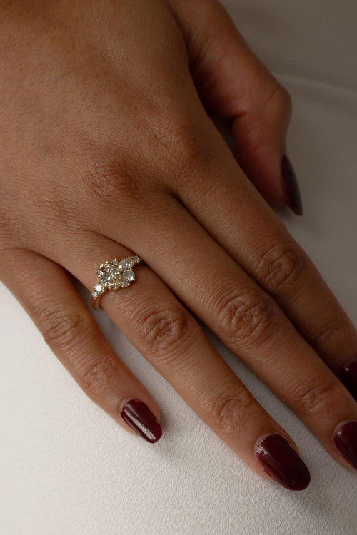 Petite Champagne Poppy | OAK