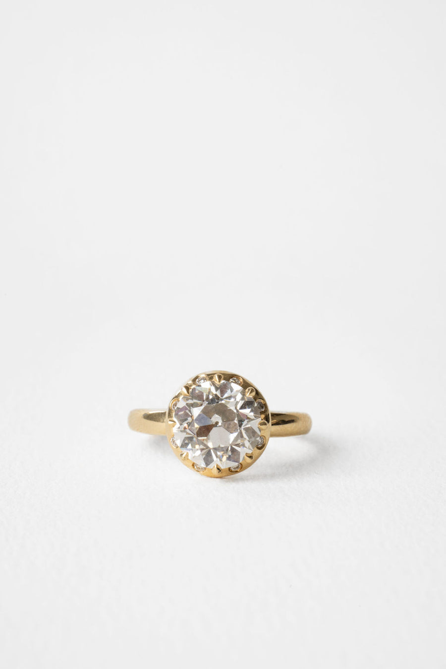 Arden || Euro Cut – June Rings