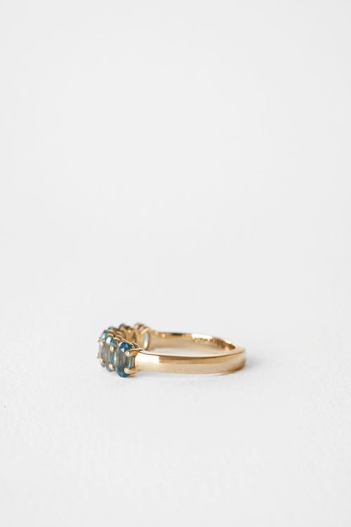 Montana Sapphire Fawn