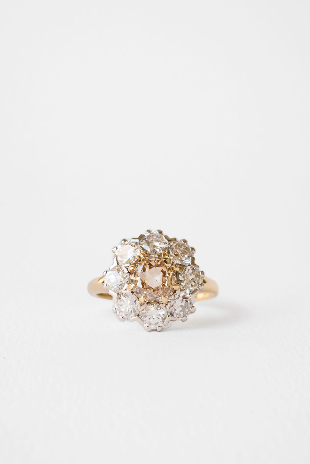 Champagne Floral Cluster || OAK