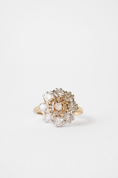 Champagne Floral Cluster || OAK