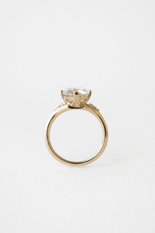 Dahlia Tab Prong | Euro Cut