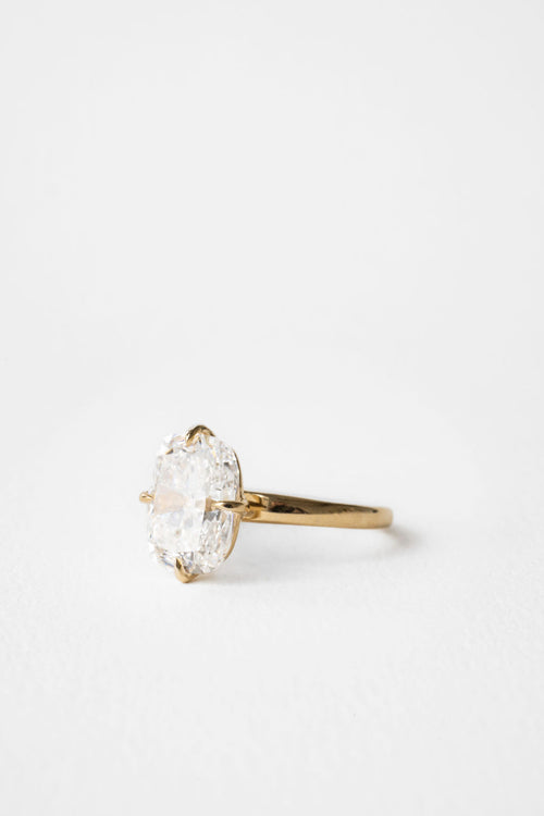 Compass || Elongated Cushion