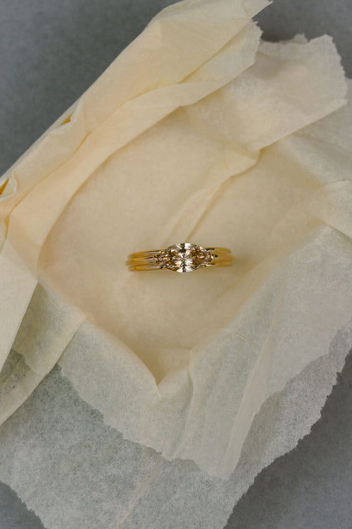 Aster || Champagne Marquise