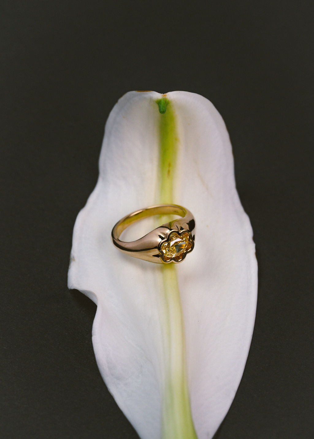 Petite Flora | East-West Oval (view 2)