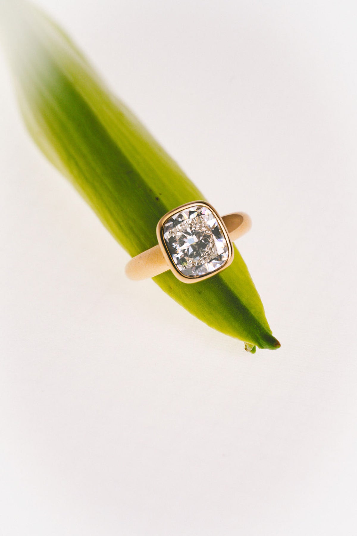 A cushion-cut diamond ring with a yellow gold setting, resting on a vibrant green leaf against a clean white background. (view 12)