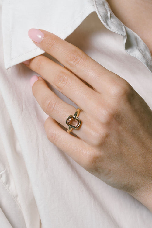 Champagne Dove | Rose cut cushion