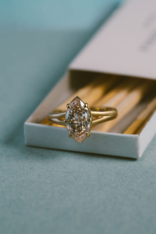 Mesa | Champagne | Portugese Marquise