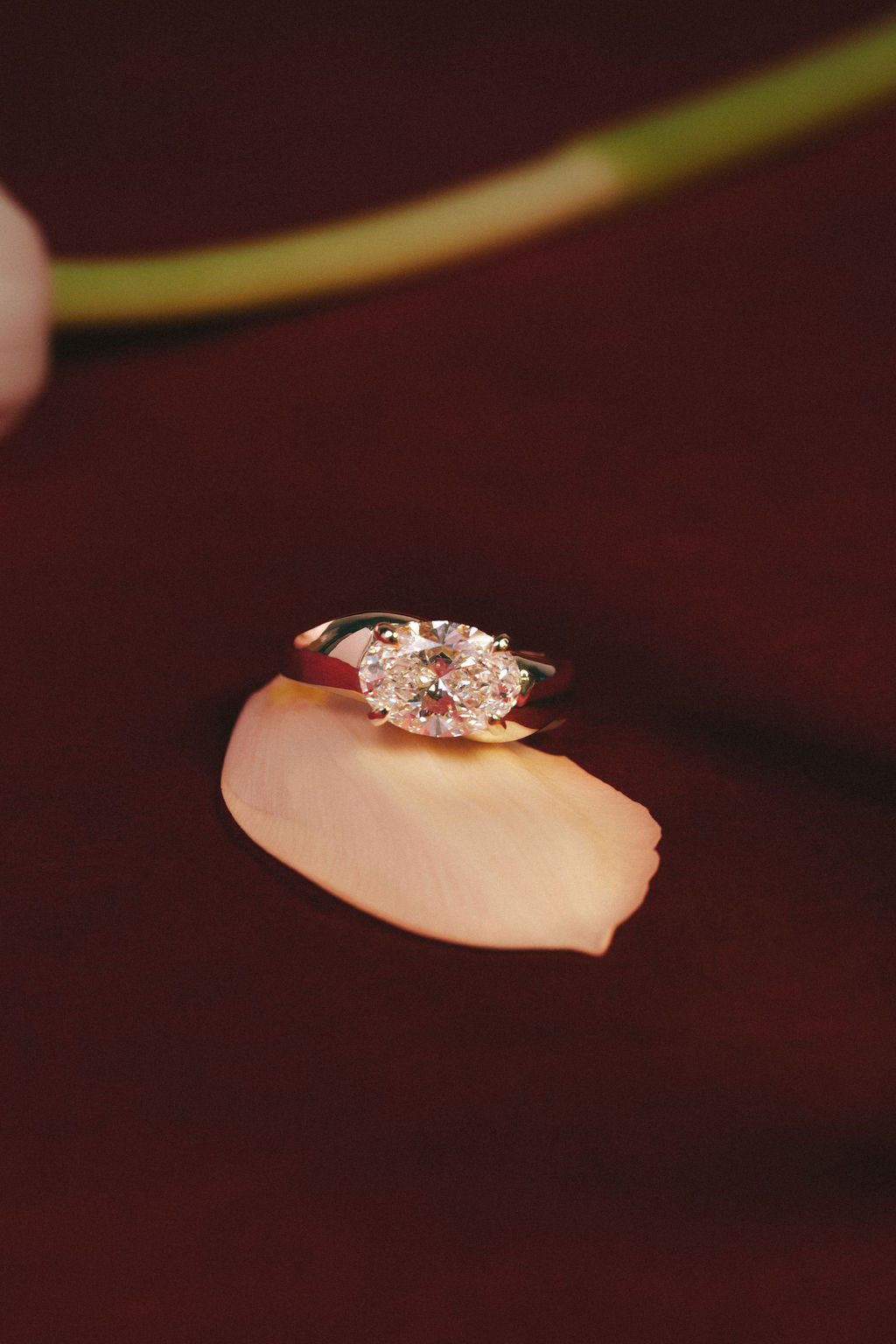 Locke | East-West Oval