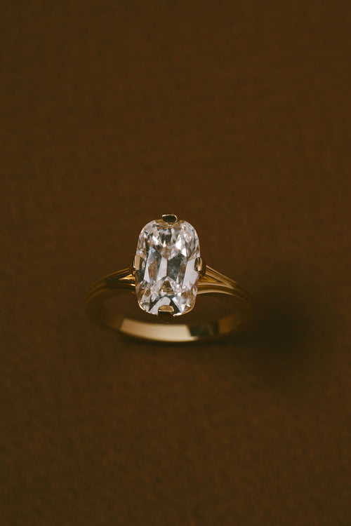 Custom Cove |  Johnny Li