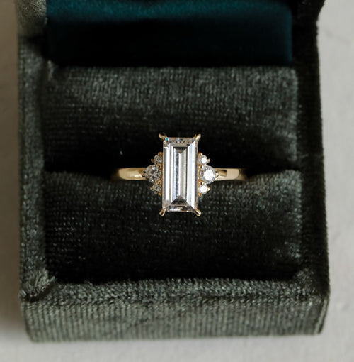 Marigold || Baguette