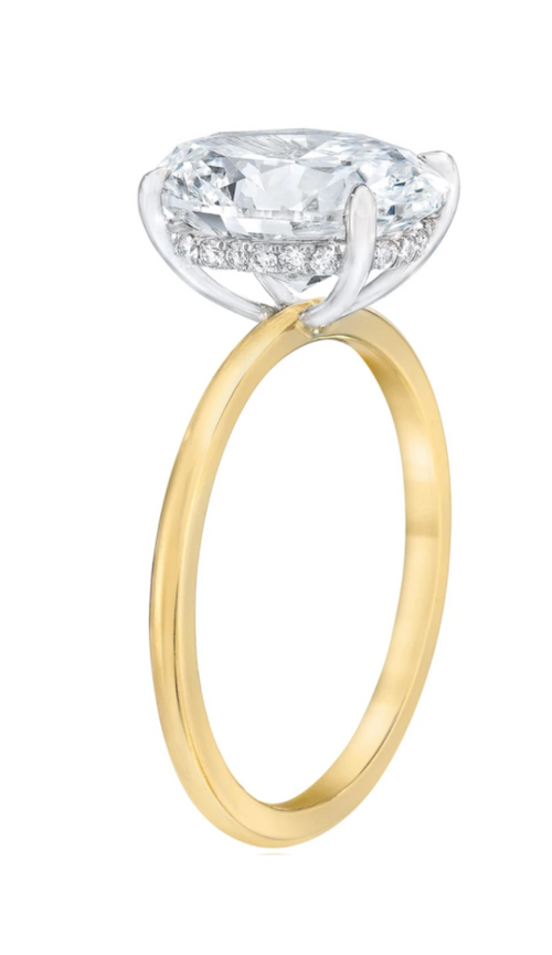Oval Solitaire | Hidden Halo & White Gold Prongs