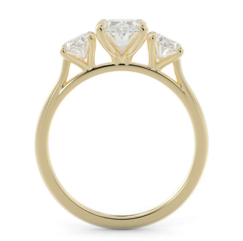 Elizabeth Corbett | 3-Stone Engagement Ring