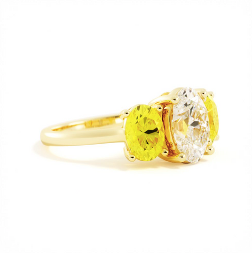 Isabel | Custom Alexis Engagement Ring