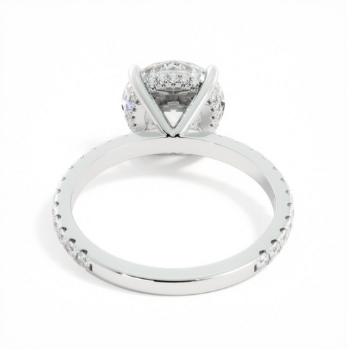 Amanda | Custom Platinum Round Solitaire with Hidden Halo