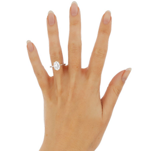 Brooke and Levi | Custom Oval Solitaire