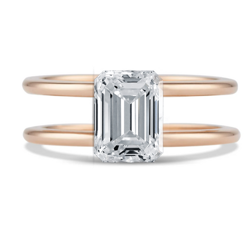 Taylor Dale | N1182