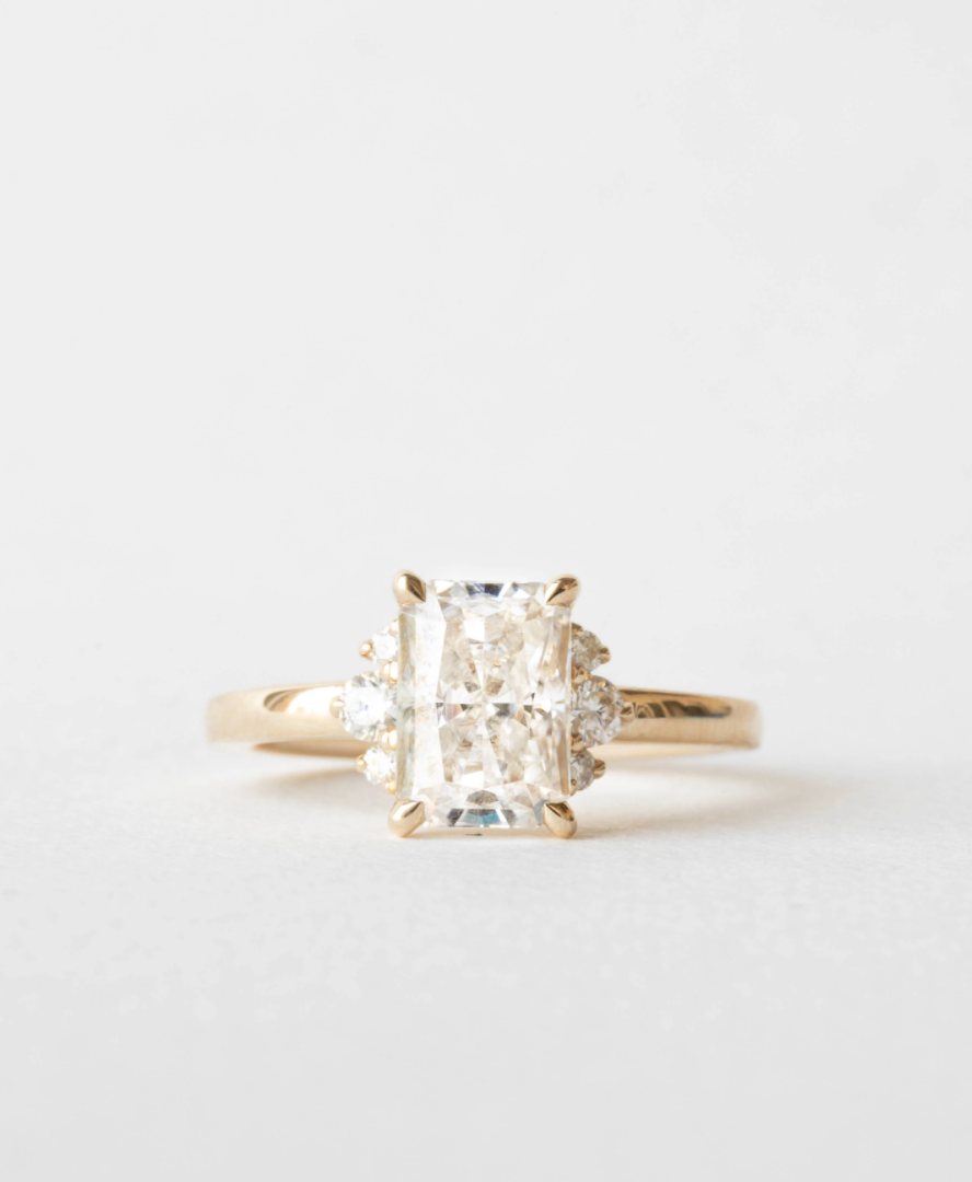 Sophia Magagnoli | N1208